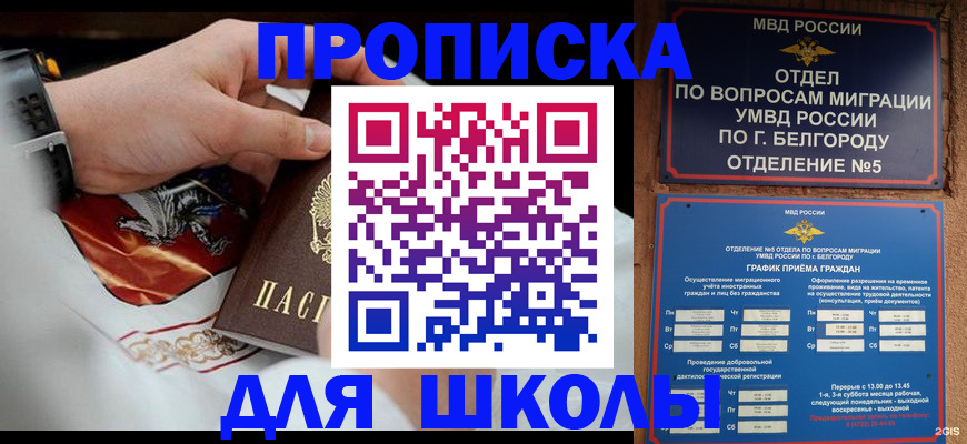 пропишу в квартире в Щёкино